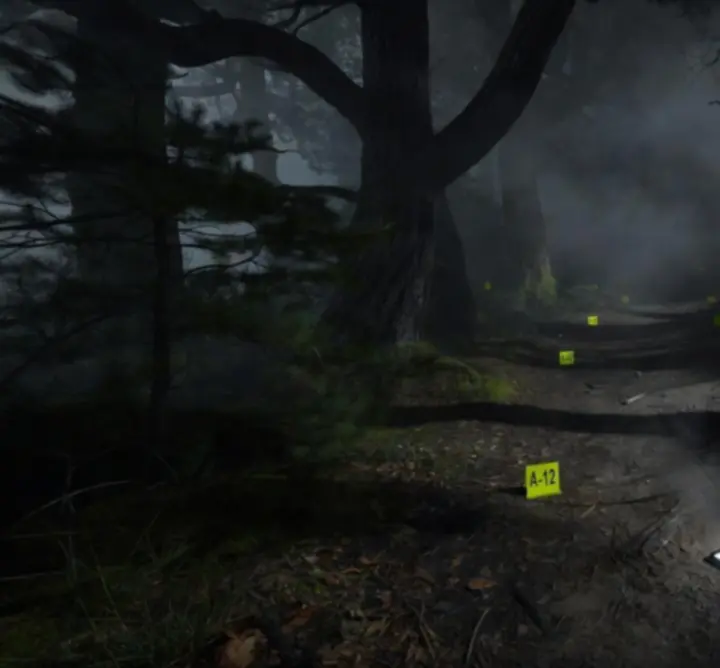 Baljós, sötét erdei ösvény titokzatos tárgyakkal a Duskwood nyomozásban